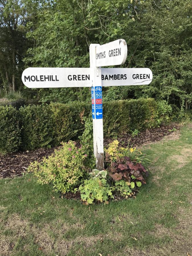 Takeley Old Thatch Bambers Green מראה חיצוני תמונה